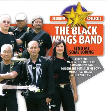 Send Me Some Loving by Black Wings Band - album cover