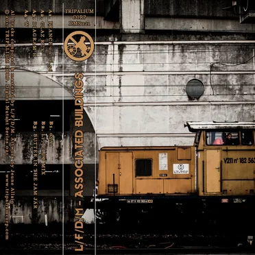 Associated Buildings by L/F/D/M - album cover