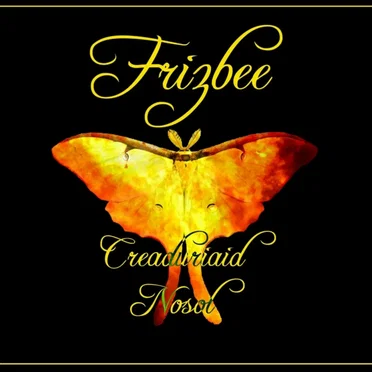Creaduriaid Nosol by Frizbee - album cover