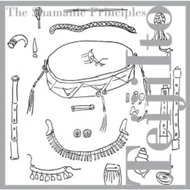 The Shamanic Principles