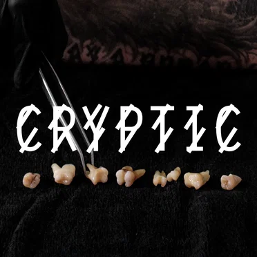 Cryptic (Kobosil Hart mix) by Kobosil - album cover