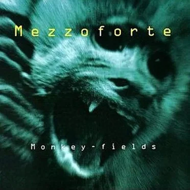 Monkey Fields by Mezzoforte - album cover