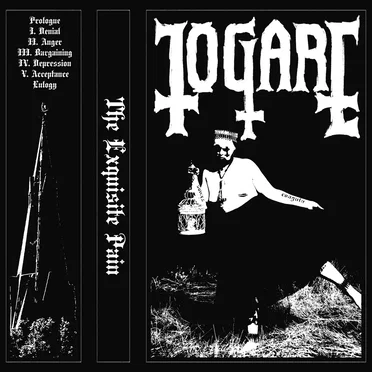 The Exquisite Pain by TogarE - album cover