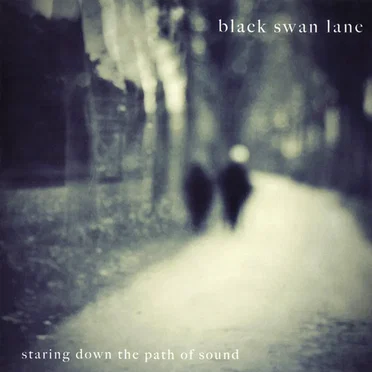 Staring Down the Path of Sound