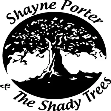 Catch That Dream by Shayne Porter - album cover