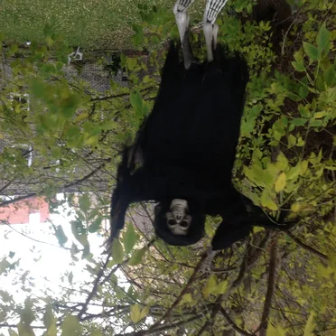 Another Odyssey of Waiting