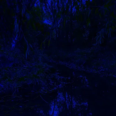 Sleepless nights by L1LLY - album cover