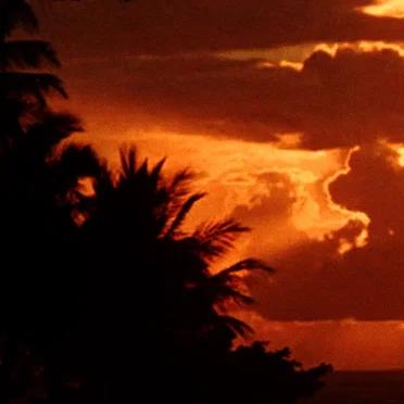 Tropical Twilight