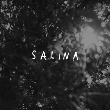 Salina