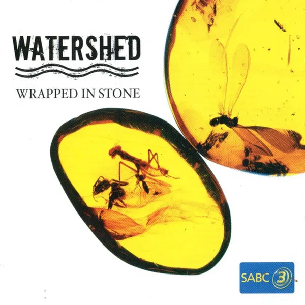Wrapped in Stone