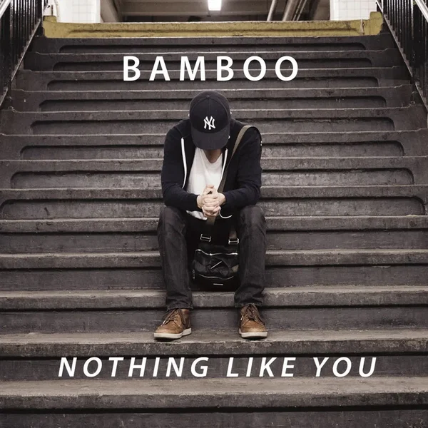 Nothing Like You