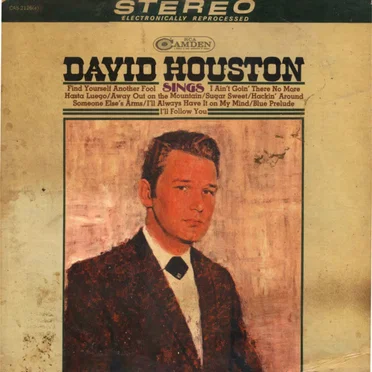 David Houston Sings