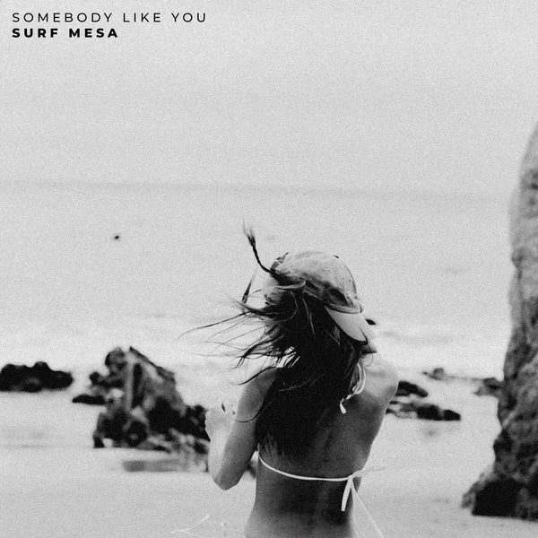 Somebody Like You