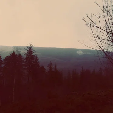 Amber Hill