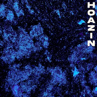 Voilà by Hoazin - album cover