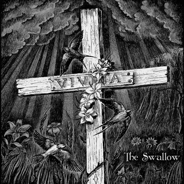 The Swallow by Vivita - album cover