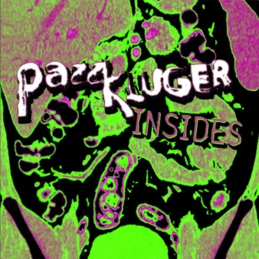 Insides by Pazz Kluger - album cover