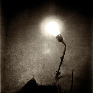 Denouement