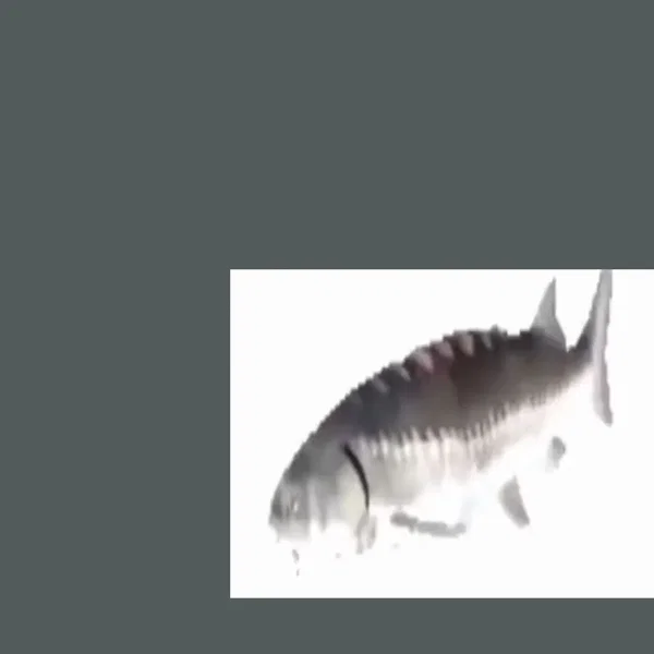 feesh (with starfieldstatic)