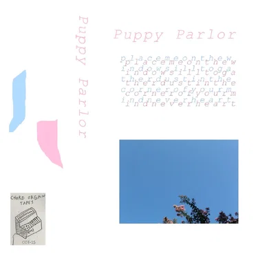 Place me on the windowsill by Puppy Parlor - album cover