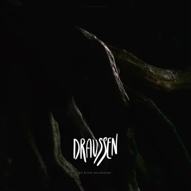 Draussen by OG KUSH SALAMANDA - album cover