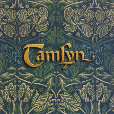 Music in the Celtic Tradition by TamLyn - album cover