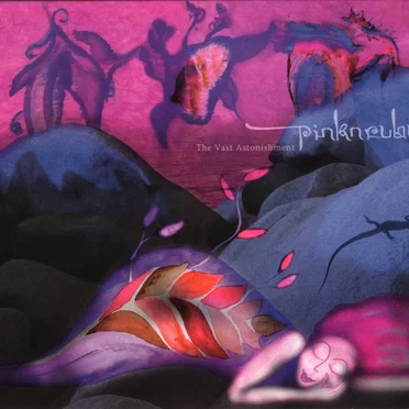 The Vast Astonishment by Pinknruby - album cover