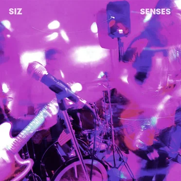 Senses by SIZ - album cover
