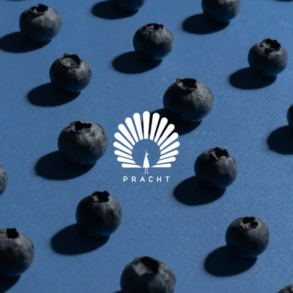 Connect the Dots (Oliver Schories & Gorge remix)