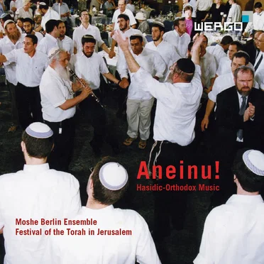 Aneinu! Hasidic‐Orthodox Music from the Festival of the Torah in Jerusalem by Moshe Berlin Ensemble - album cover