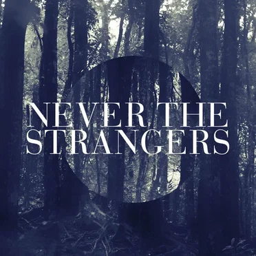 Never The Strangers by Never The Strangers - album cover