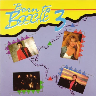Born to Boogie Volume 3 by Various Artists - album cover