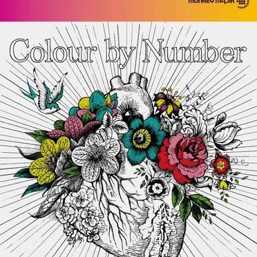 Colour by Number