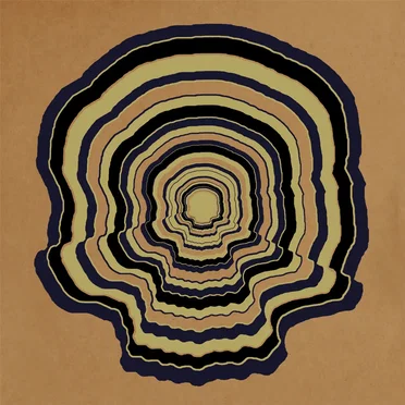 Dead Comet by Dead Skeletons - album cover
