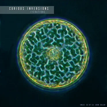 Curious Inversions