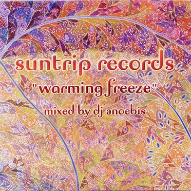Suntrip Records: Warming Freeze