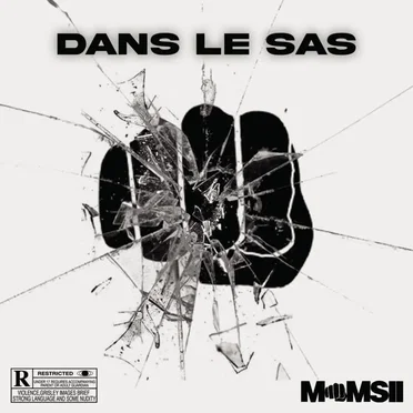 Dans le SAS by Momsii - album cover
