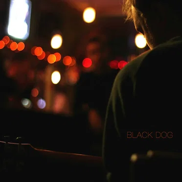 Black Dog by Sam Lunn - album cover