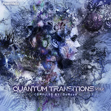 Quantum Transitions, Vol. 2 by Various Artists - album cover