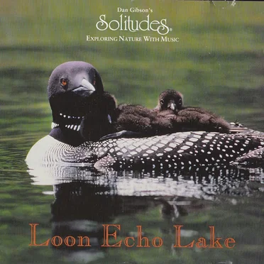 Loon Echo Lake