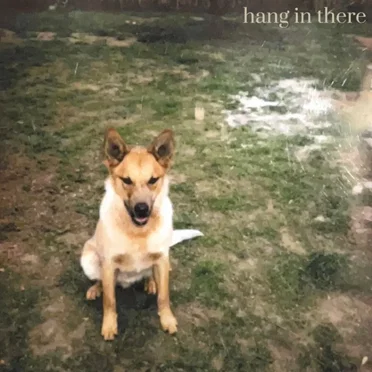 Hang In There by Every Dog Has Its Day - album cover