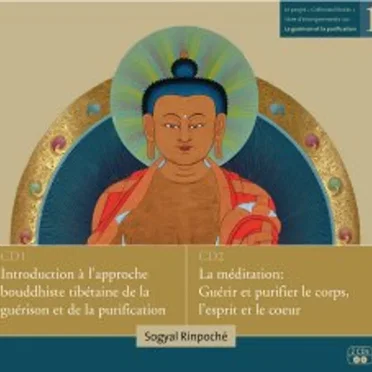 La guérison et la purification by Sogyal Rinpoché - album cover
