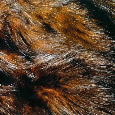 Forty Years to Find a Voice