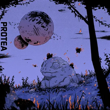 Protea by Protea - album cover
