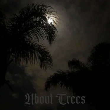About Trees