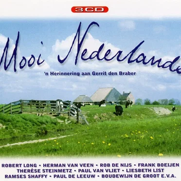 Mooi Nederlands: ’n Herinnering aan Gerrit den Braber by Various Artists - album cover