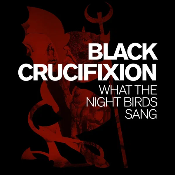 What the Night Birds Sang