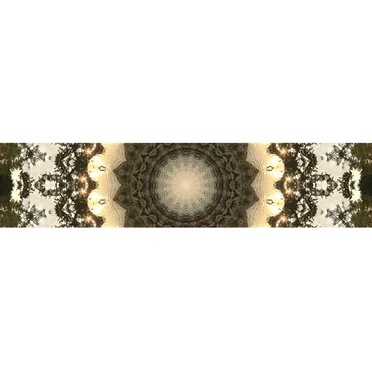 Starlight 2