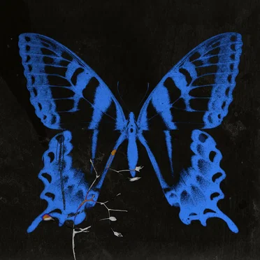 GANGGANGSULLAE by Song Sohee - album cover