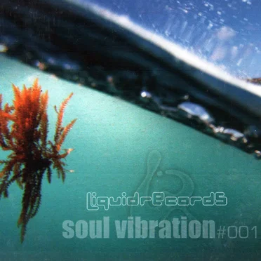 Soul Vibration 001 by Various Artists - album cover